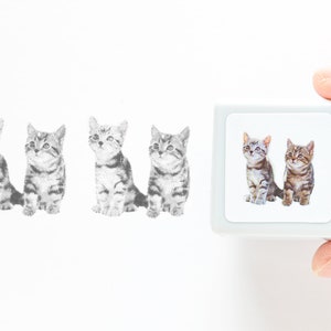 Photograph stamp -American shorthair Kitten &quot;twins&quot;-