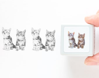 Photograph stamp -American shorthair Kitten "twins"-