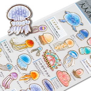 Gold foil adult visual dictionary sticker -jellyfish-