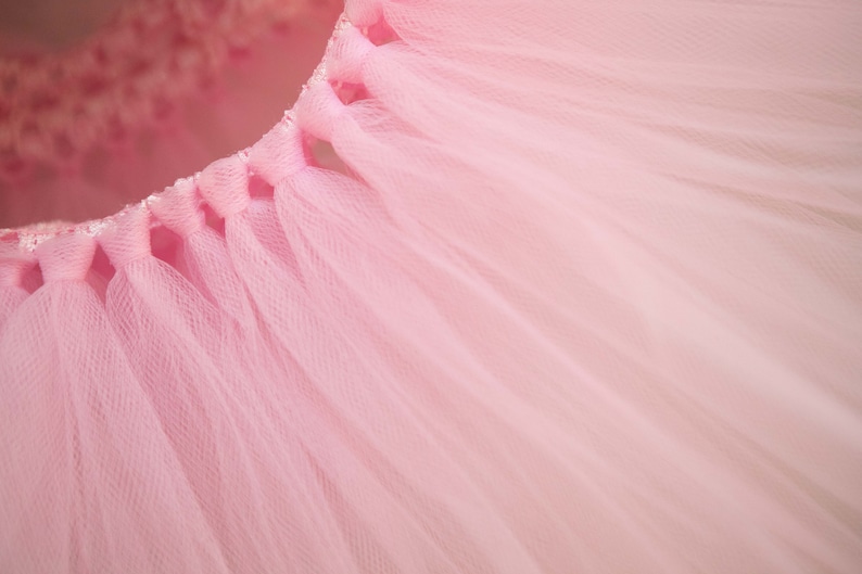 Pink Tutu Princess Tutu Ballerina Tutu Pink Tulle Skirt