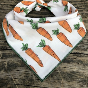 Dog bandana CARROTS// Easter dog bandana // Spring dog bandana //Easter Egg// Bandana for dogs // Puppy bandana // Bunny bandana