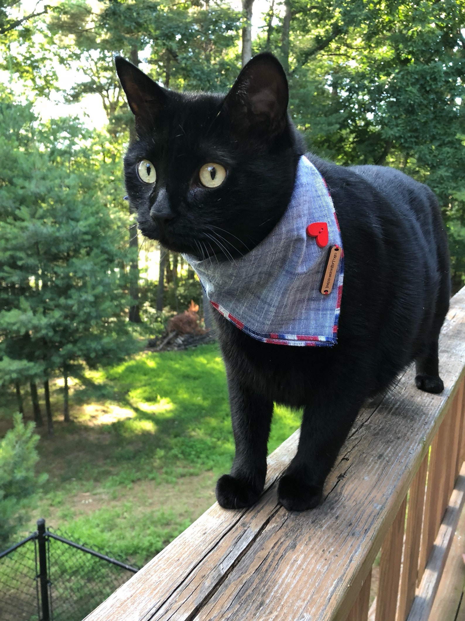 Red White Blue Dog Bandana STRIPES // Dog Bandana Patriotic Etsy