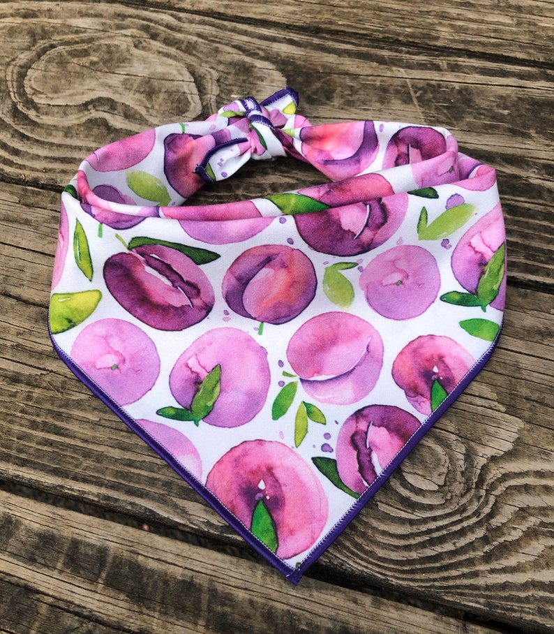 Dog Bandana PURPLE PLUMS// Summer Dog Bandana // Purple Dog Etsy