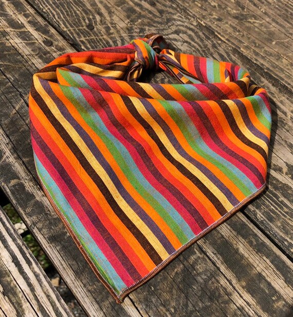 zymox medicated shampoo