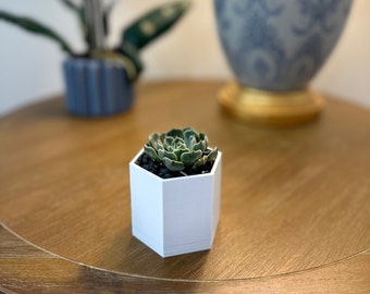 Hexagon Modern Succulent Cacti Planter: 3D Printed