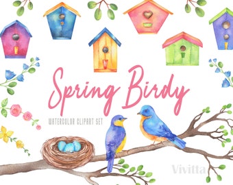 Spring Birdy watercolor clipart set