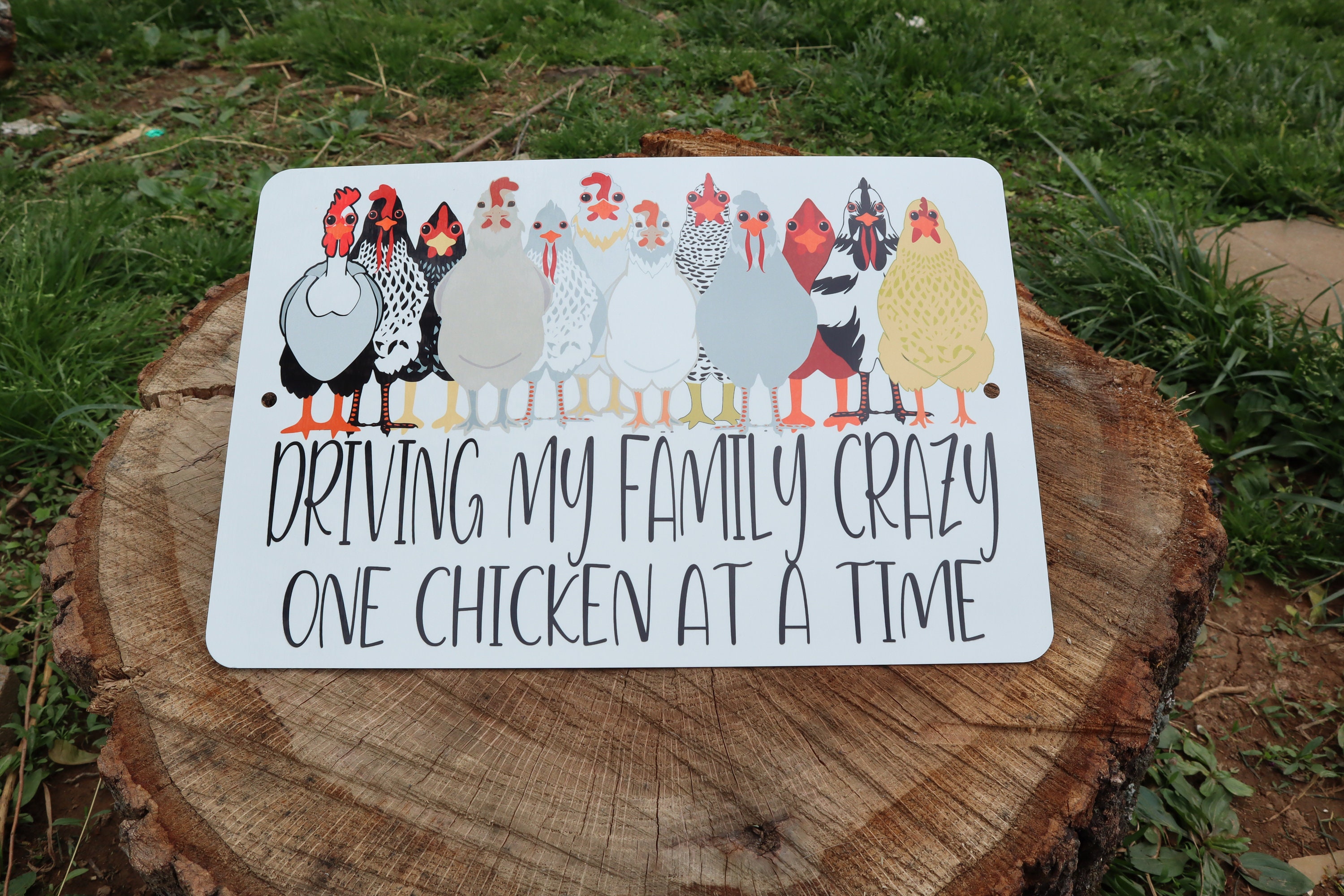 Funny metal chicken coop sign indoor or outdoor wall art Etsy