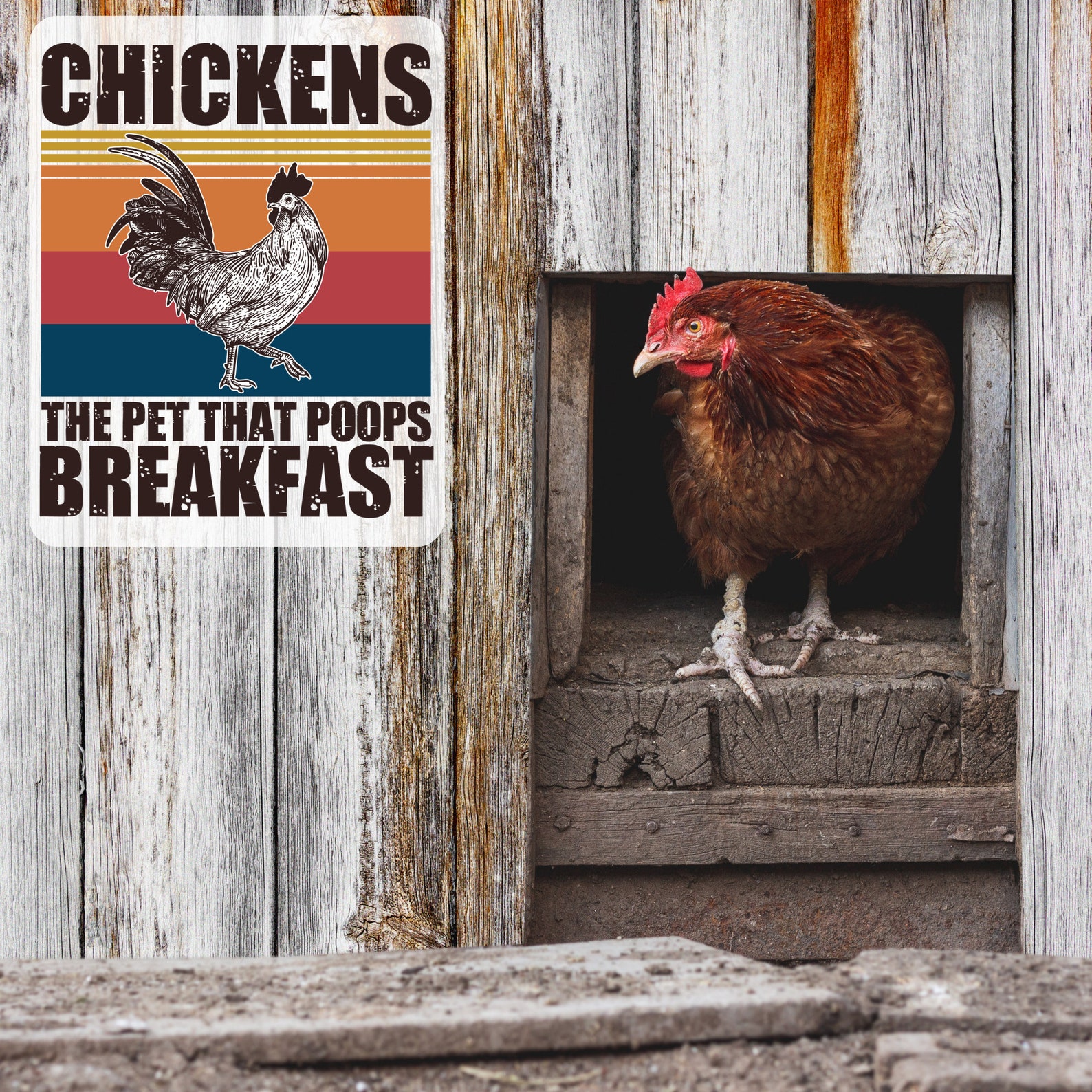 Funny Chicken Coop Sign for Outdoor or Indoor Wall Art Metal Etsy