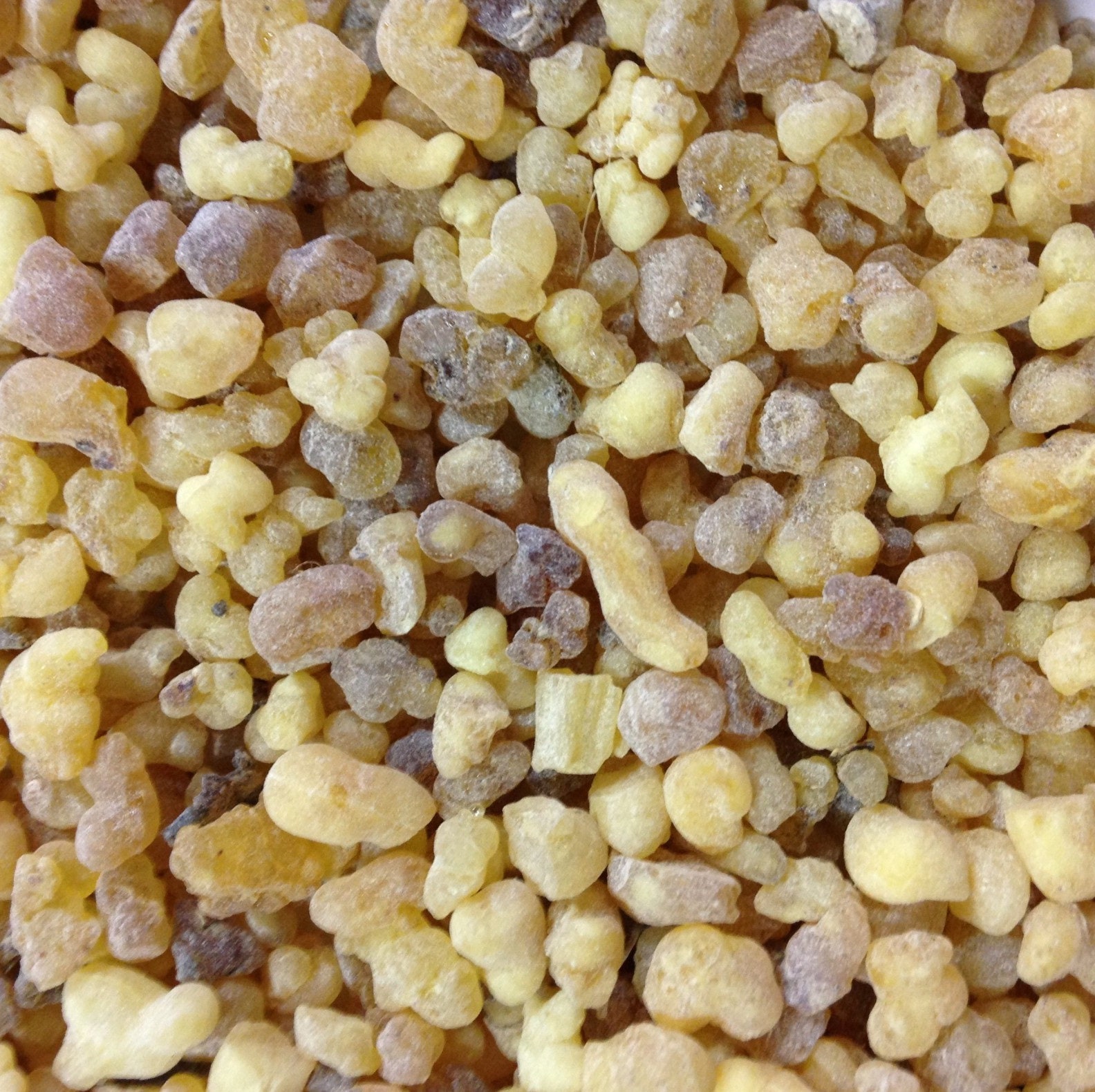 Encens Oliban Du Soudan | Purification, Dégagement, Émotivité, Stress, Confiance