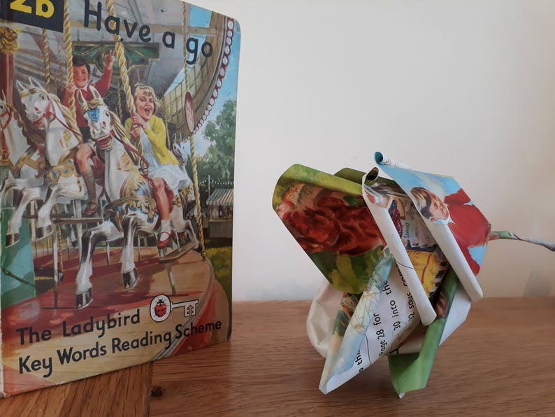 Ladybird vintage book rose image 2