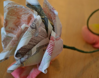 Delicate banknote rose