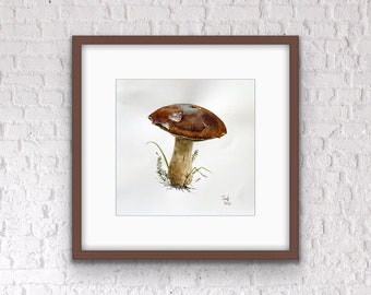 Original watercolor painting - mushroom, botanical illustration