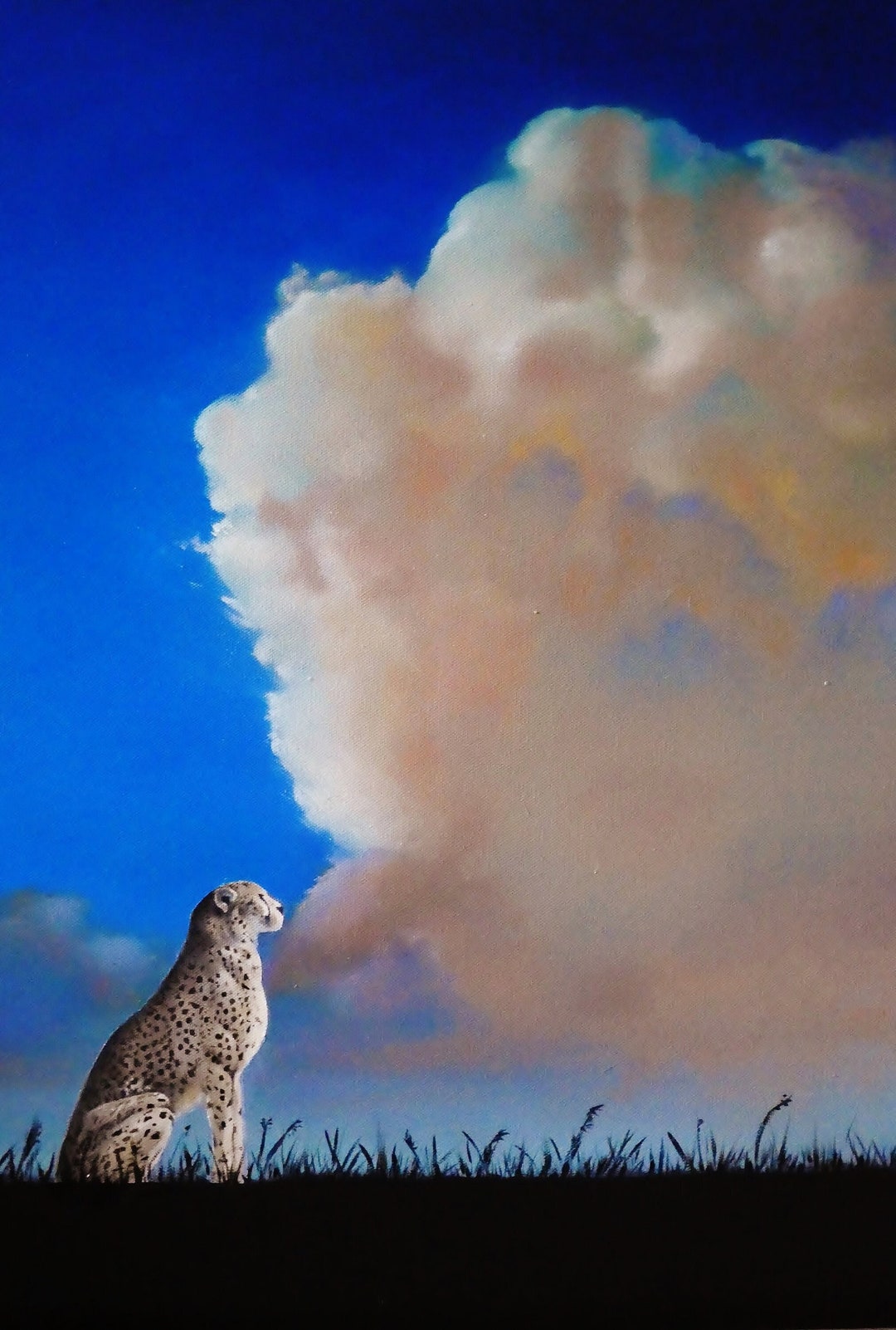Cloud Watching / Giclee Art Print / Cheetah / Clouds - Etsy