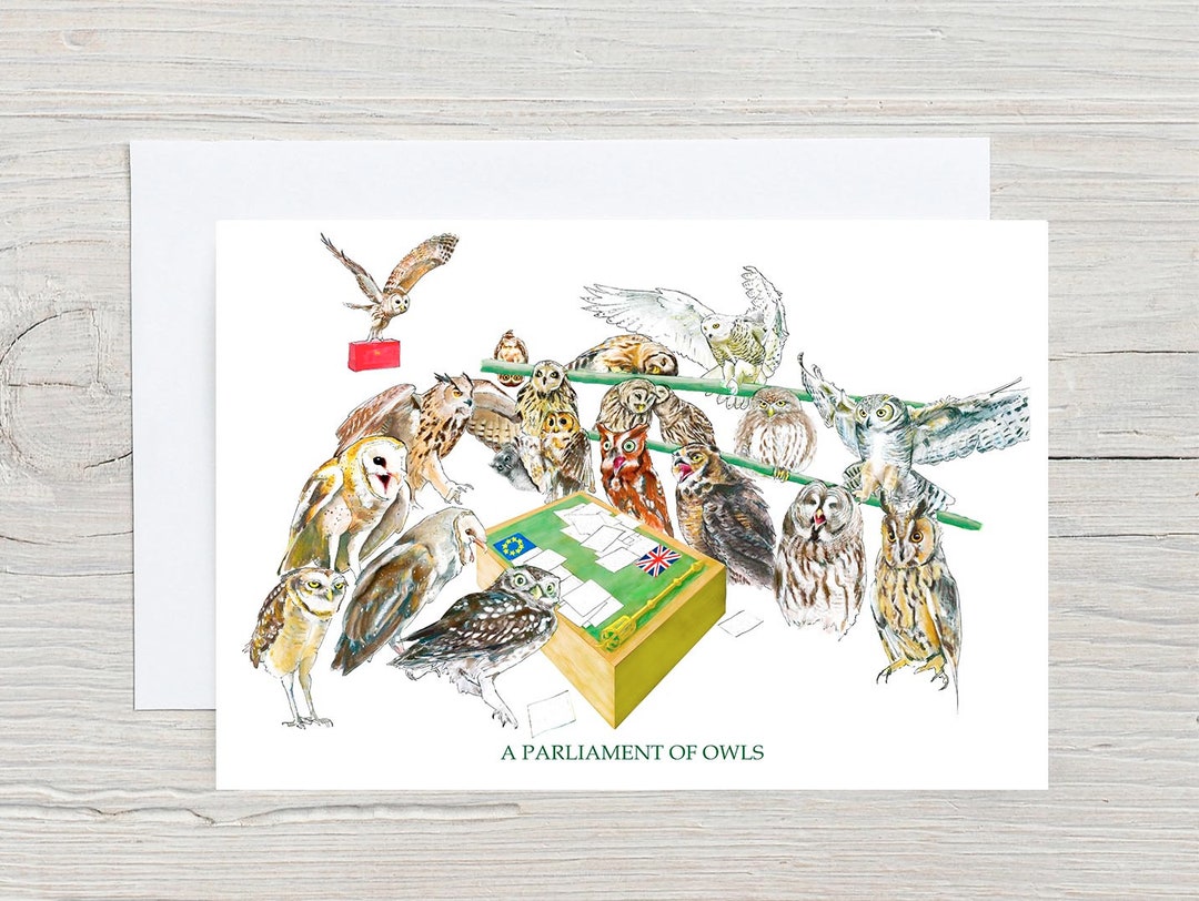 A Parliament of Owls Collective Noun Greetings Card Birthday Etsy UK