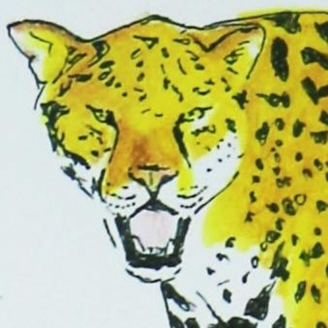 Tieralphabet Buchstabe J Tiere die mit J beginnen | Etsy