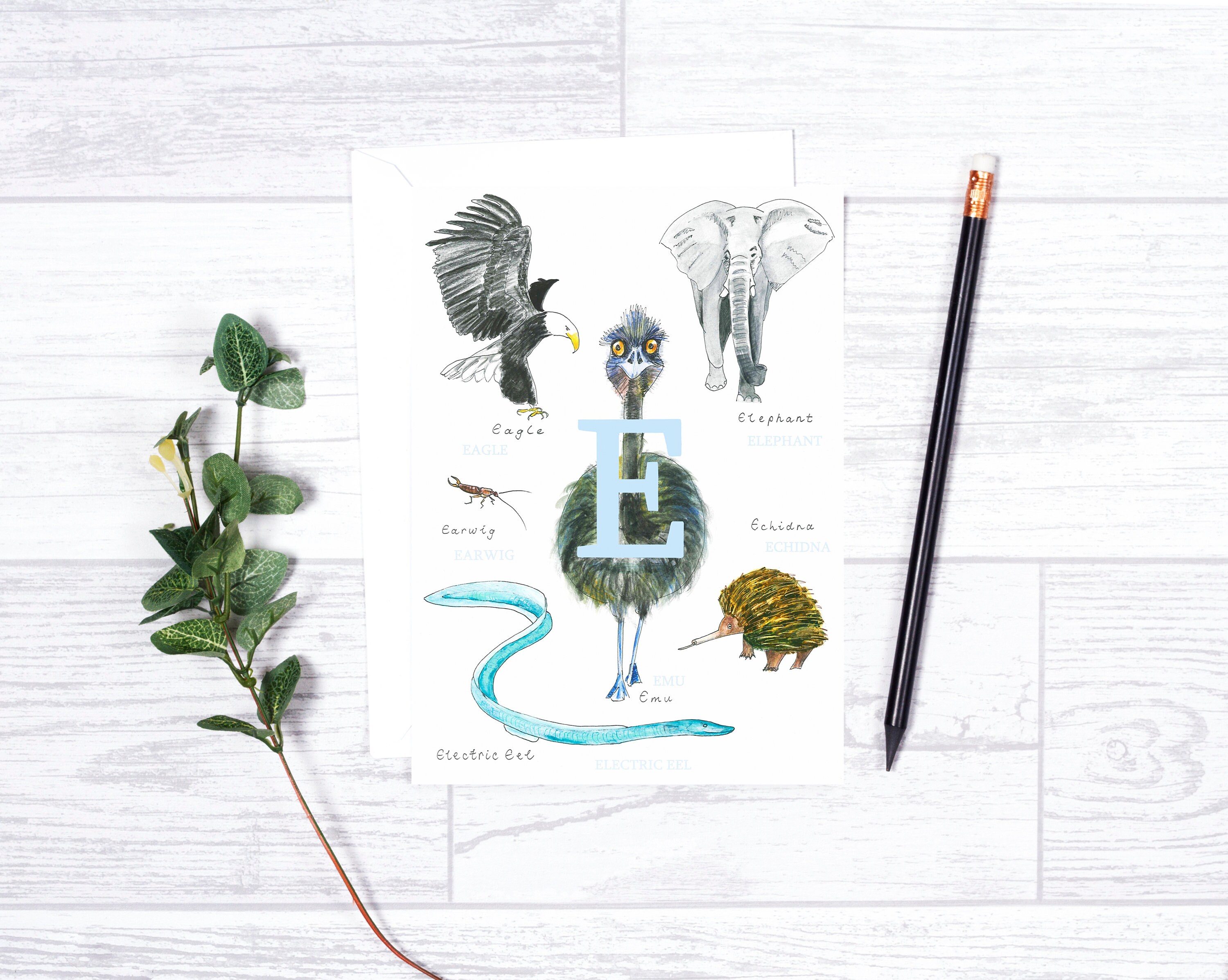 Animal Alphabet Letter E Greetings Card | Etsy