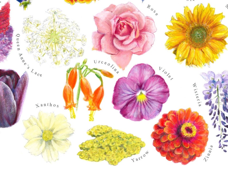 AZ of Flowers Print Botanical Printaz of Flowers Painting Gift for