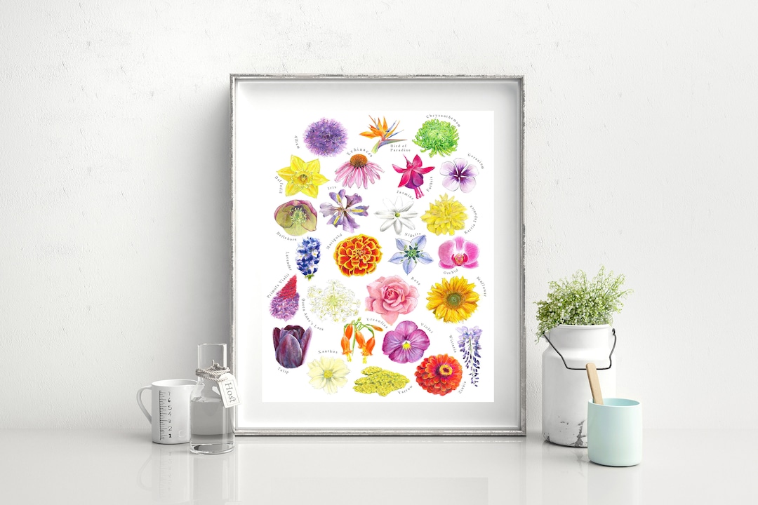 AZ of Flowers Print Botanical Printaz of Flowers Painting Gift for