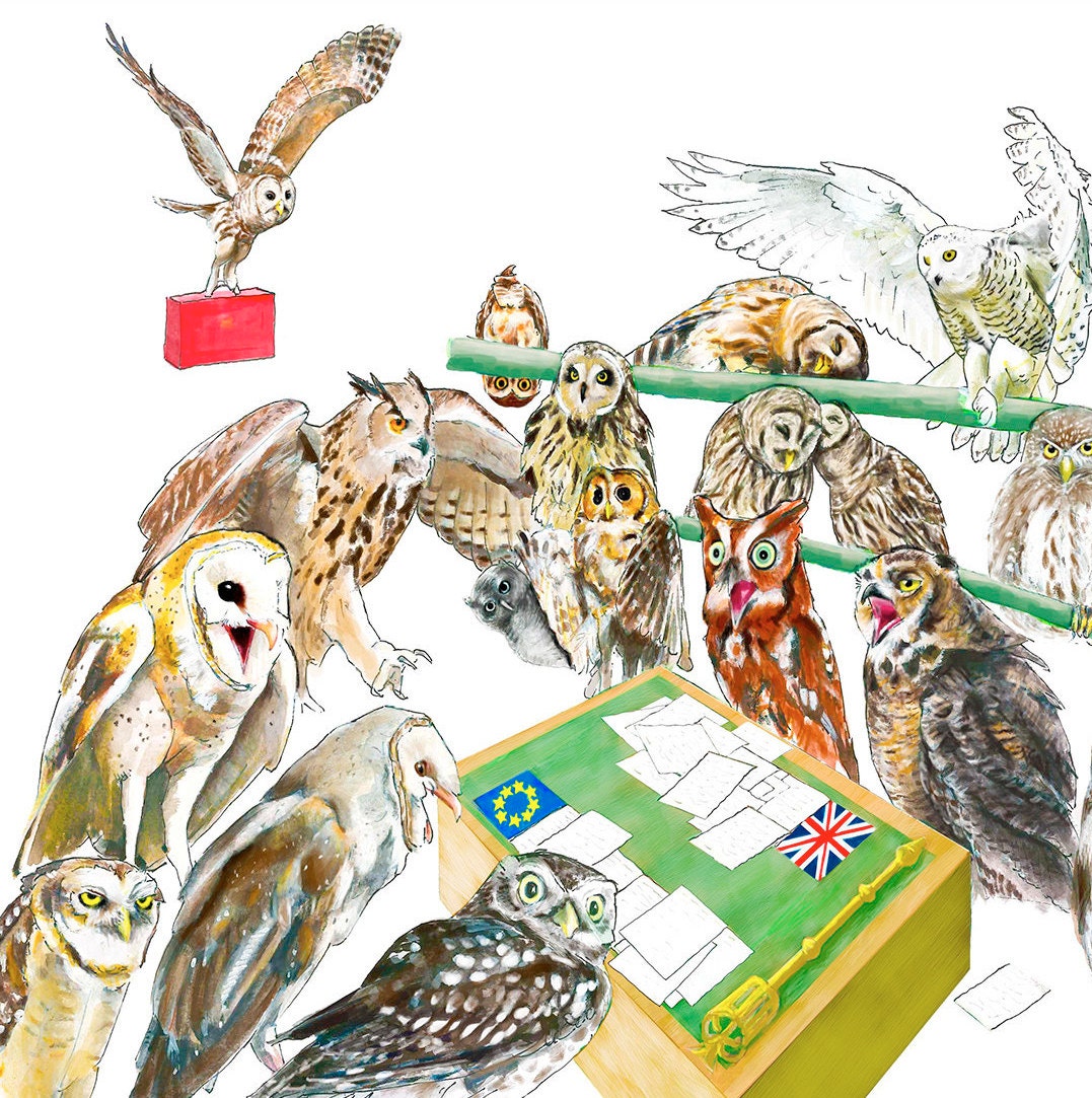 A Parliament of Owls Collective Nouns Owl Print Etsy