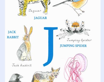 Animal Alphabet, Letter J Animals Beginning With J Childrens Picture Baby  First Christmas Children's Print - Etsy Israel
