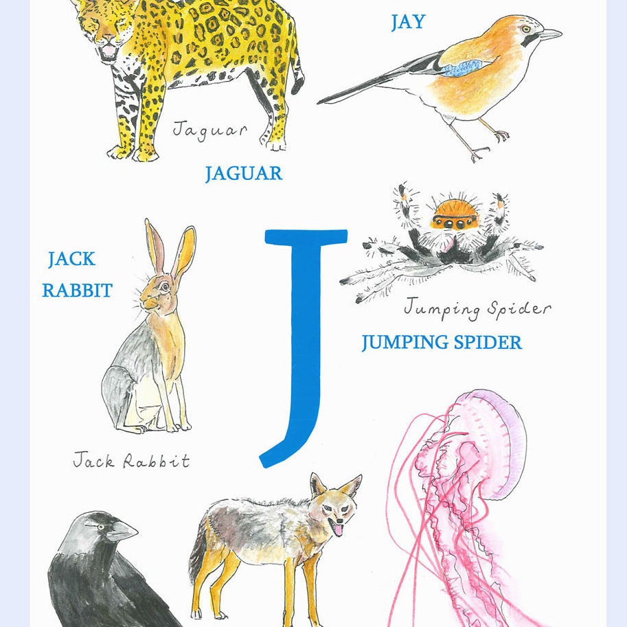 Top Animal Con La J Learn more here | Website Pinerest