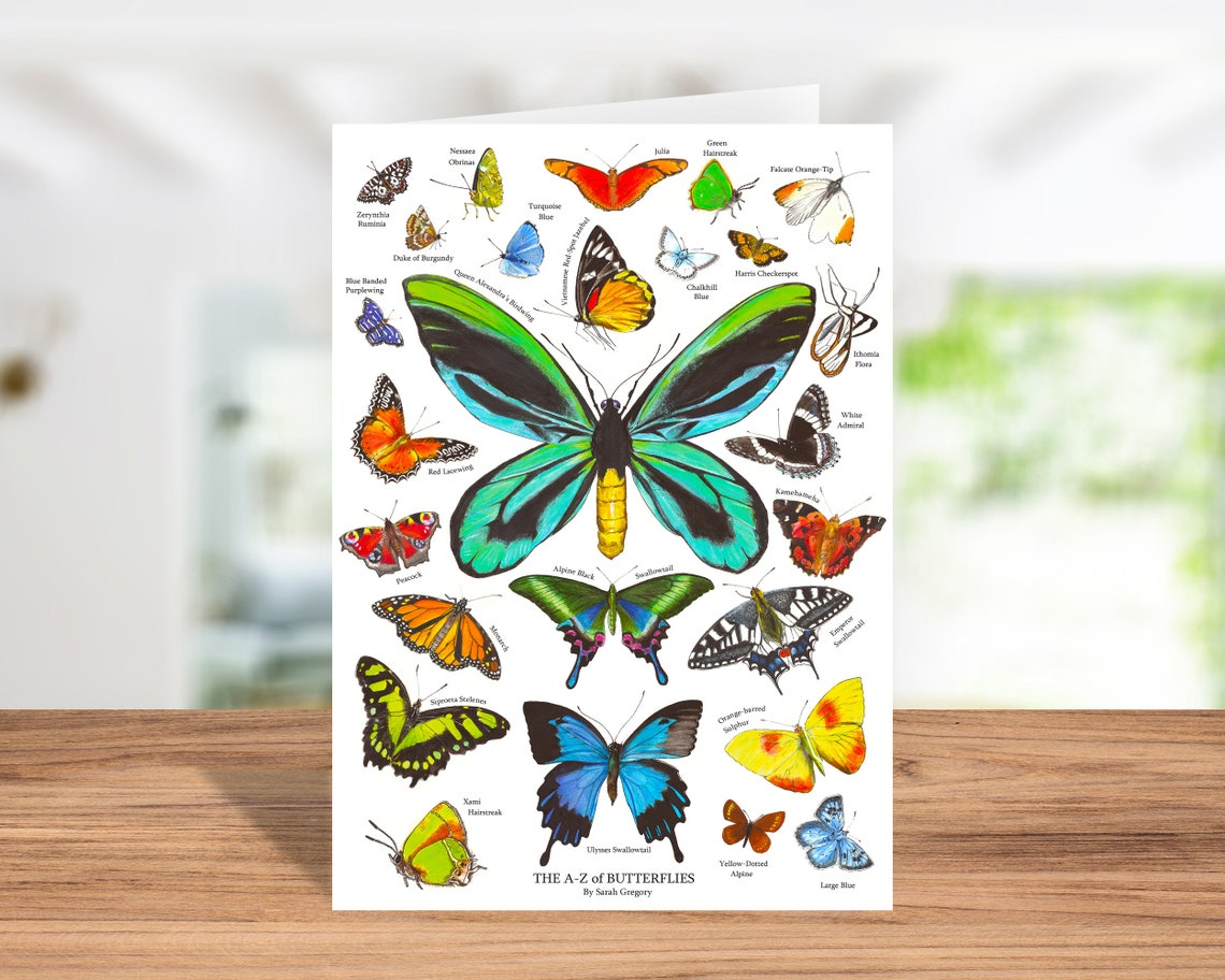 Butterfly AZ Card AZ Butterflies Card Butterfly Categories Etsy