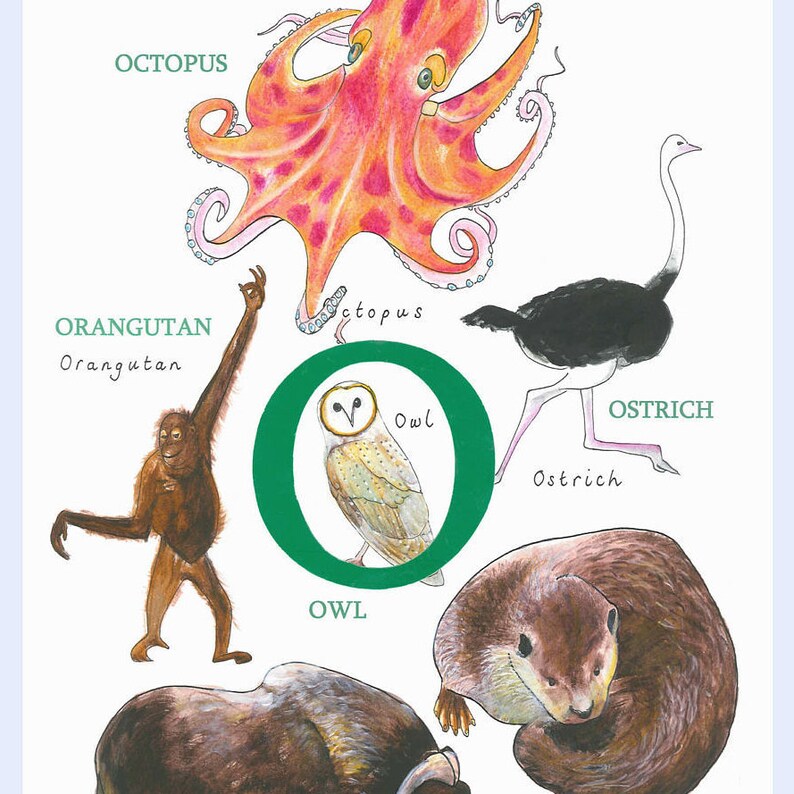 Tier Alphabet Buchstabe O Tier alphabet Kinderzimmerbild | Etsy