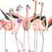 A Flamboyance of Flamingos Collective Noun Print - Etsy