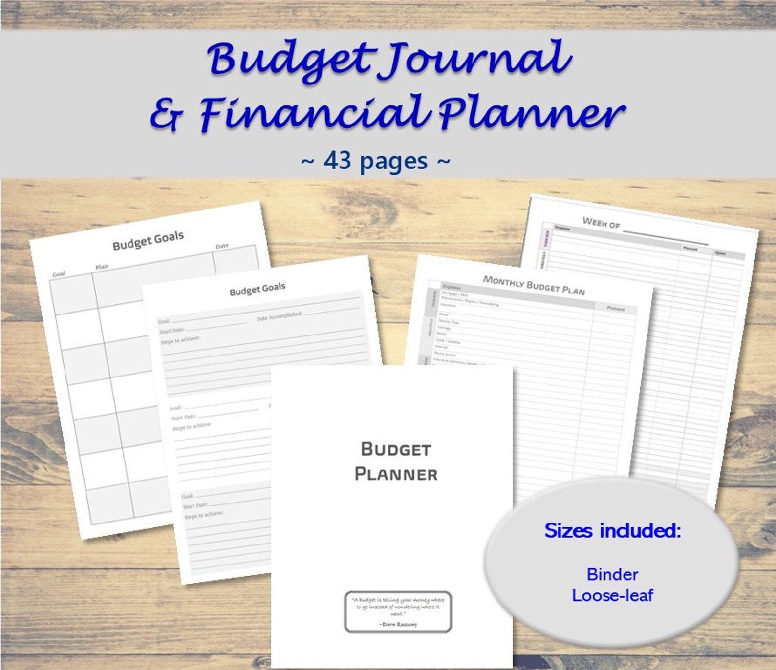 Budgeting Journal Financial Organizer Detailed Etsy UK