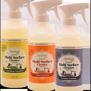 Natural Multi Surface Cleaners image 1