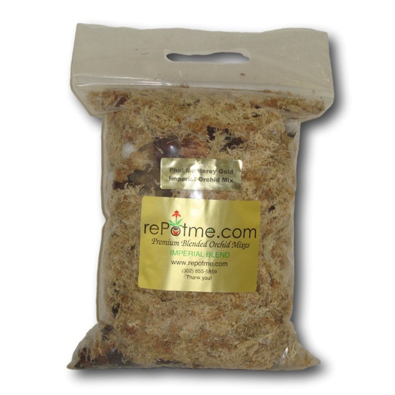 Phalaenopsis Imperial Orchid Mix Monterey Gold 4 Quart Etsy