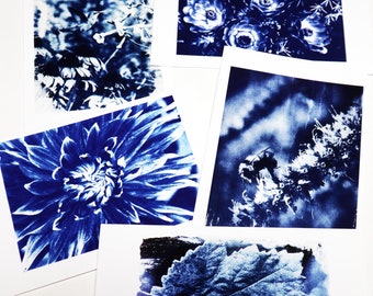 Juego de seis tarjetas en blanco 5.5X8.5 con impresiones de cianotipos - Nature Series # 1 - Fotografías originales y cianotipos © John L. Hampton