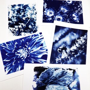 Sechs Karten Set blanko 5,5x8,5 Karten mit Cyanotypie Prints - Nature Series #1 - Original Fotografien und Cyanotypien © John L. Hampton