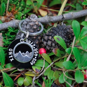 Take Me to the Mountains - Mountain Pet ID Tag