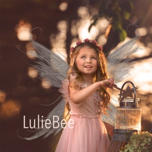 SILVER GLITTER digital fairy wings overlay, .PNG, photoshop overlay, fantasy, wings overlay, fairy overlay, photoshop, instant download