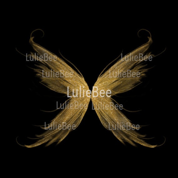 Photoshop Overlay Fantasy GOLDEN GLITTER digital fairy wings overlay, photoshop overlay,  fantasy, wings overlay, fairy overlay, photoshop, instant download