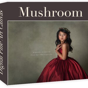 Fine Art Digital Backdrop - Mushroom, Overlay, Digital Textures, Texture, Fine Art Background, Fine Art Backdrop, Digital Overlay