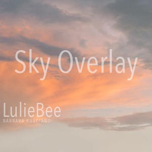 Può includere: Un'immagine digitale di un cielo al tramonto con un morbido gradiente arancione e rosa. Il testo "Sky Overlay" è sovrapposto all'immagine. Il testo "LilieBee BARBARA RUSCIANO" è in basso nell'immagine.