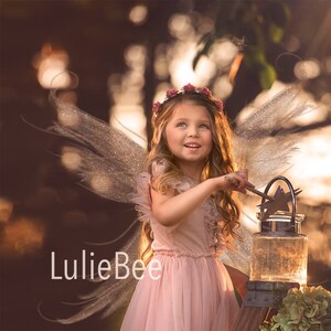 BRONZE GLITTER digital fairy wings overlay, .PNG, photoshop overlay, fantasy, wings overlay, fairy overlay, photoshop, instant download