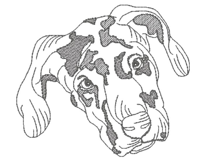 Great Dane Dogs -  Dog Breeds (10 Machine Embroidery Designs by ATW) 8 5X7 and 2 4X4