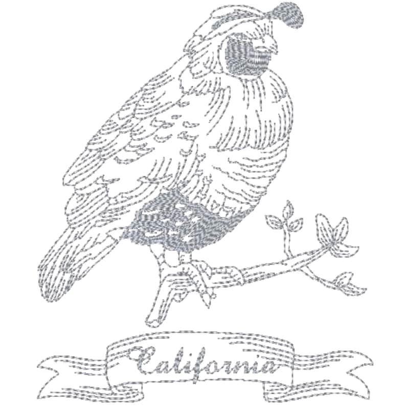 Bird Redwork Pattern Redwork State Birds - Set 1 - 10 Machine Embroidery Designs 5X7 Hoop ...