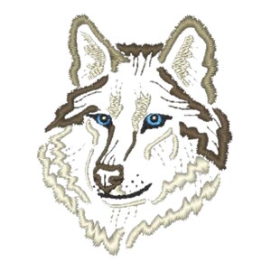 May include: A white wolf with brown markings and blue eyes. The wolf's head is facing forward and its mouth is slightly open.