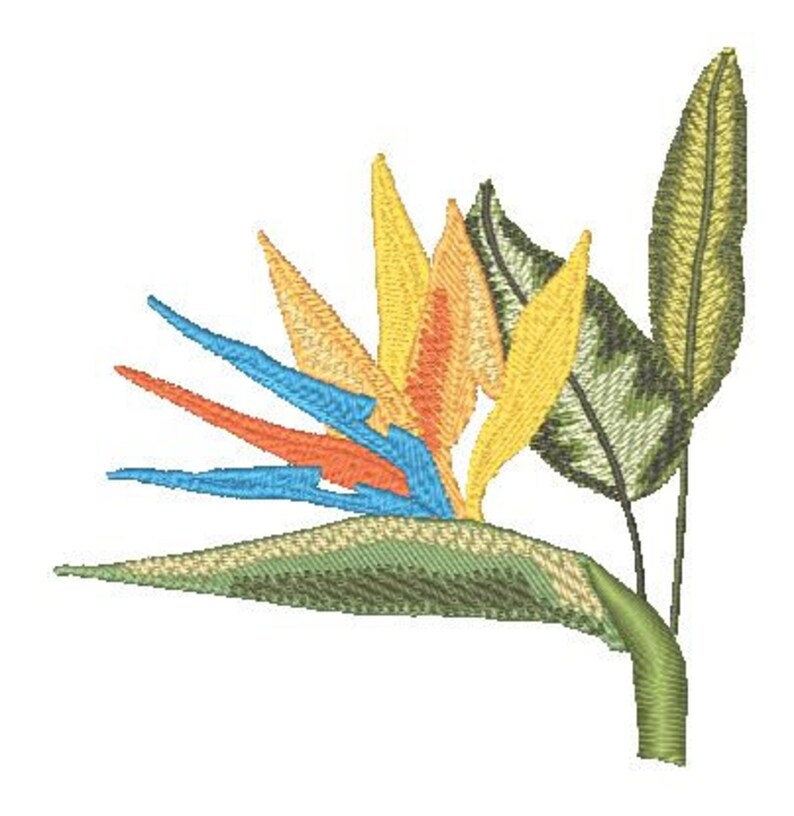 Bird of Paradise Flowers 10 Machine Emb Designs 10387 Etsy