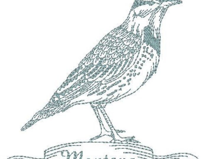 Redwork State Birds - Set 4 - Machine Embroidery Designs