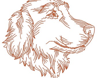 Golden Retriever Dogs Redwork 9 Machine Embroidery Designs  4- 4X4 and 5-5X7 hoop
