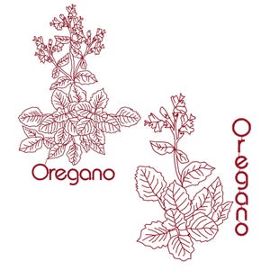 Redwork Herbs  26 Machine Embroidery Designs from ATW 4X4 and 5X7 Hoops