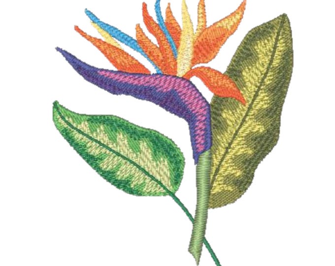 Bird of Paradise Flowers  ( 10 Machine Emb Designs ) 4X4 Hoop