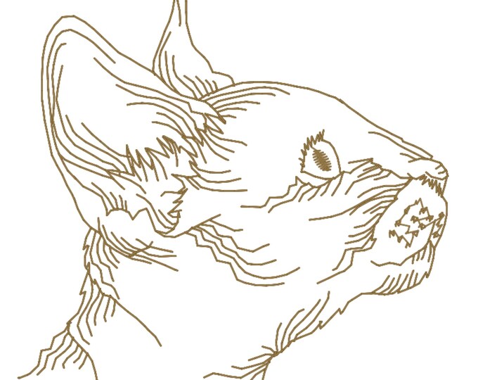 Cornish Rex Cats  ( 10 Machine Embroidery Designsby ATW) 4X4 and 5X7 hoops
