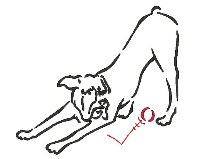 Outline Boxers  Machine Embroidery Designs