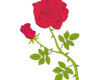 Belleza de la naturaleza: 10 diseños de bordado a máquina para bastidor de 5x7 pulgadas (descarga digital)